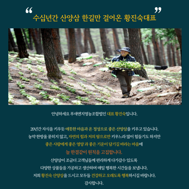 푸새앤지 영농조합법인,푸새엔지 황진숙 꿀스틱 사양 벌꿀 산양삼 꿀 장뇌삼 꿀삼진삼 선물세트