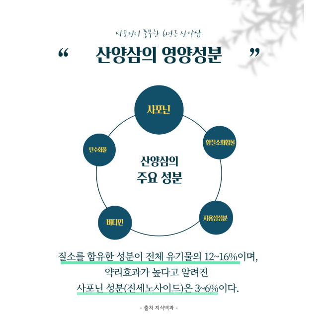 푸새앤지 영농조합법인,푸새엔지 황진숙 꿀스틱 사양 벌꿀 산양삼 꿀 장뇌삼 꿀삼진삼 선물세트